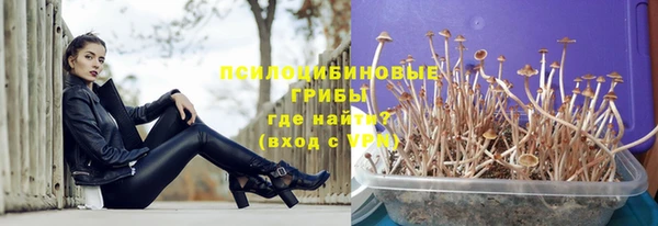 стафф Навашино